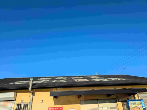 PXL_20251010_223202634