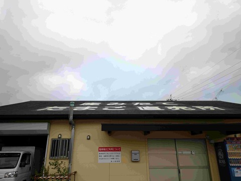 PXL_20241019_034353547