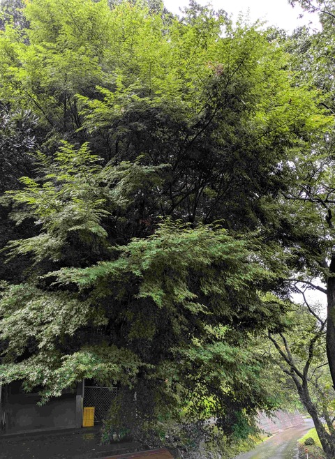 PXL_20250808_224505599