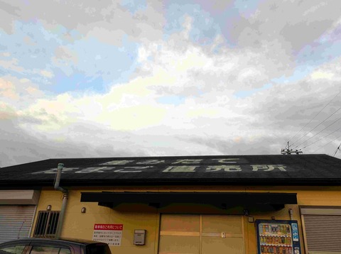 PXL_20251212_222933915