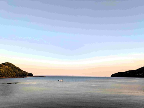 PXL_20250504_093831853