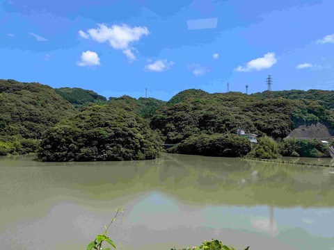 PXL_20260629_021235099