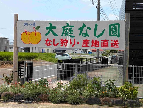 PXL_20250907_033507751