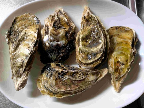 PXL_20251228_103844589