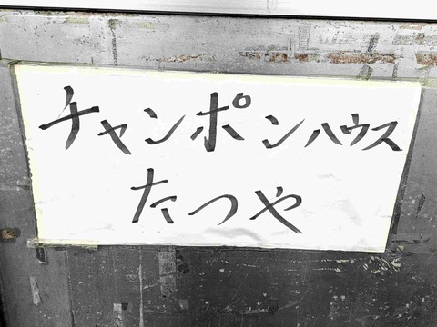 PXL_20241110_051556059