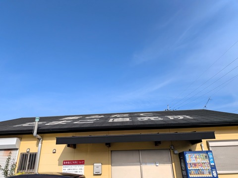 PXL_20260501_223002347.MP
