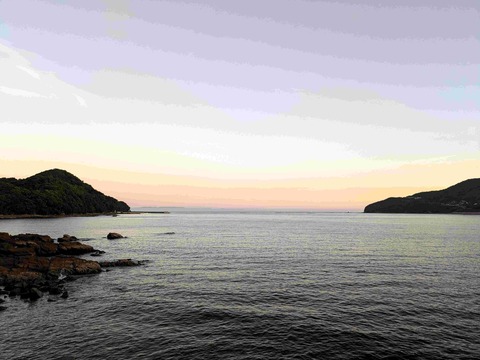 PXL_20240728_101515028