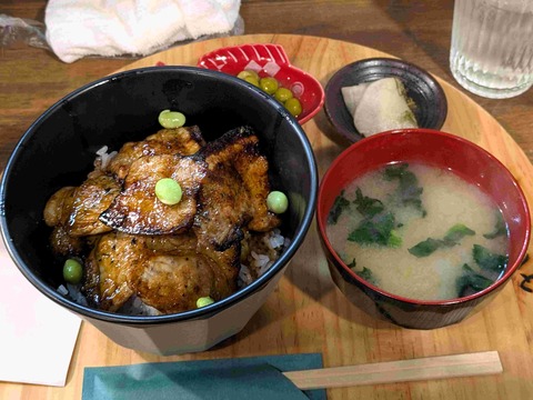 PXL_20250330_044813811