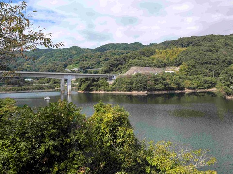 PXL_20261009_033019431