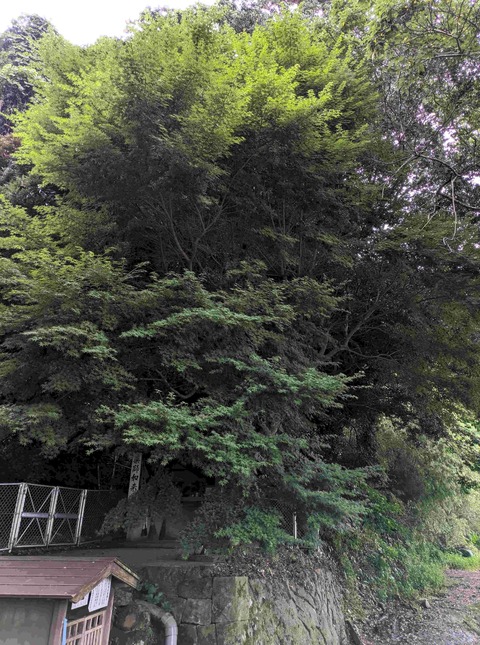 PXL_20250704_224617453