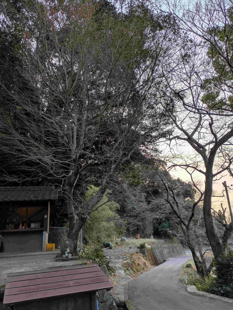 PXL_20250221_223949802