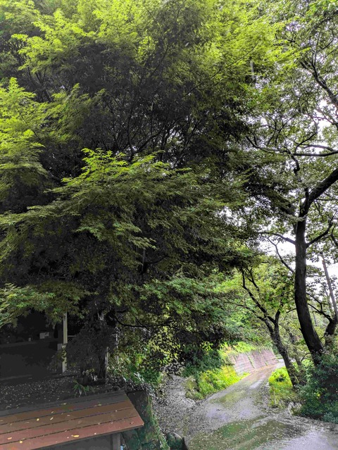 PXL_20250613_224045174
