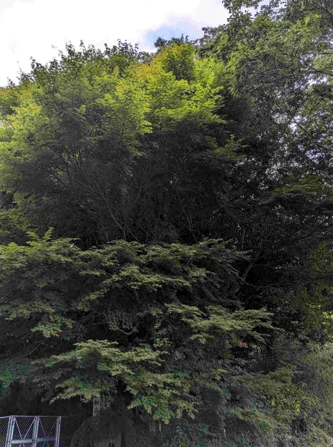 PXL_20260827_224412813