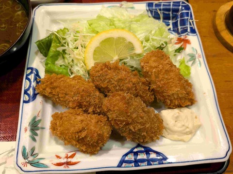 PXL_20241126_041744438