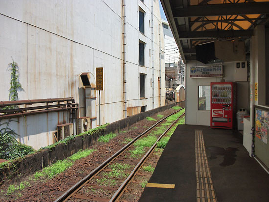 DSCF6337