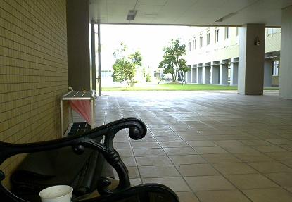 167f8645.jpg
