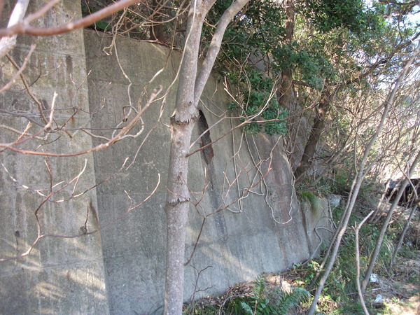 DSCF5006