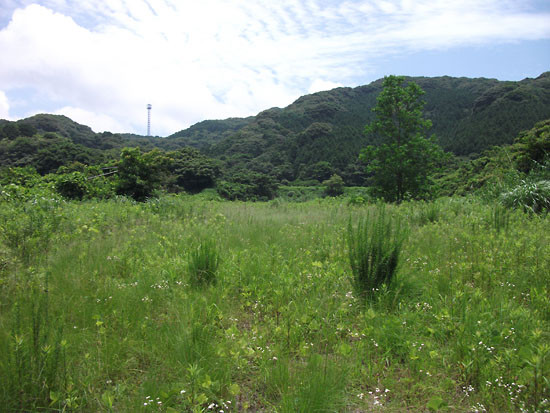 DSCF6303