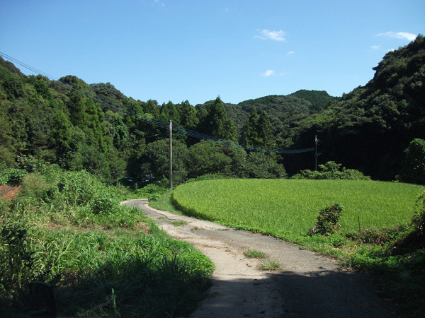 草木に消えた小ヤマ 坊ノ久炭鉱 佐世保市江迎町 アトリエ隼 仕事日記 草木に消えた小ヤマ 坊ノ久炭鉱 佐世保市江迎町 アトリエ隼 仕事日記