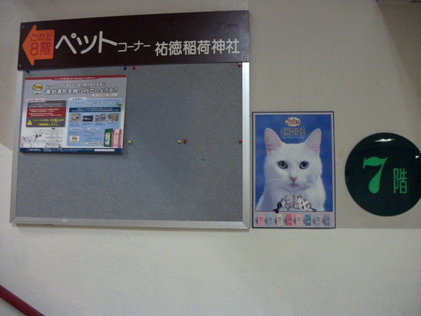 DSCF5039
