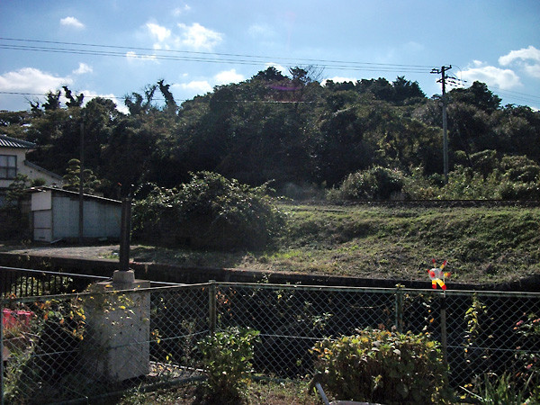 江迎猪調ボタ山跡