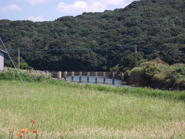 DSCF0144