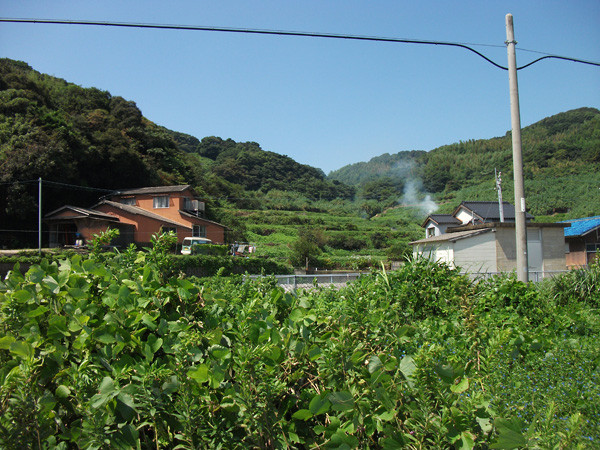 DSCF0155