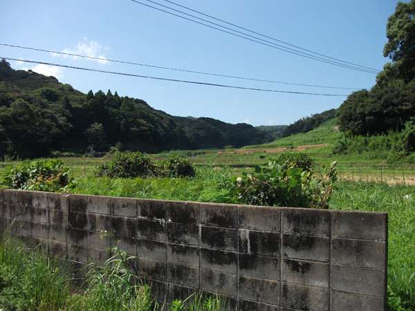 DSCF0157
