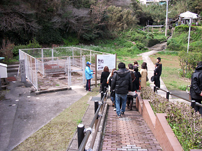 takasima 1