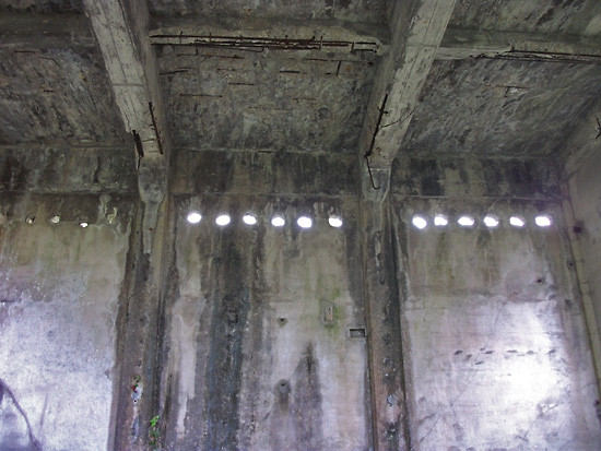DSCF5524