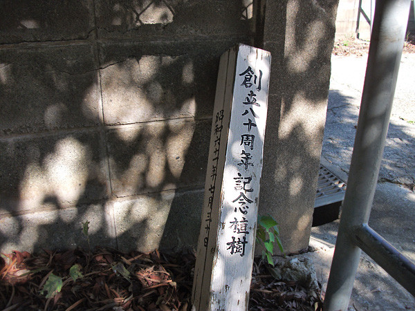 DSCF2303