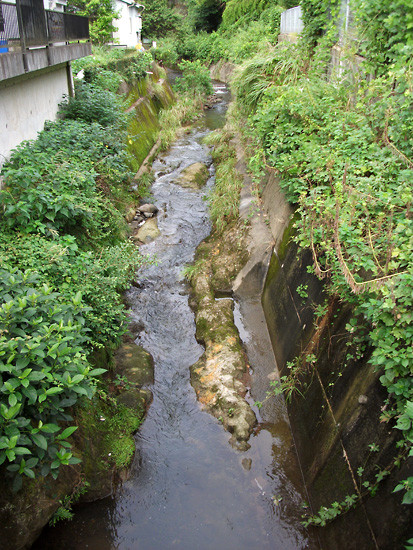 DSCF8356