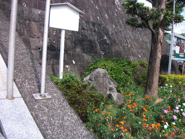 DSCF8350