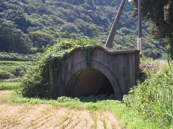 DSCF0141