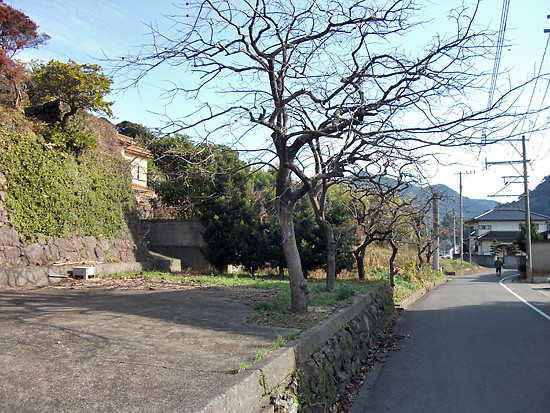 DSCF4496