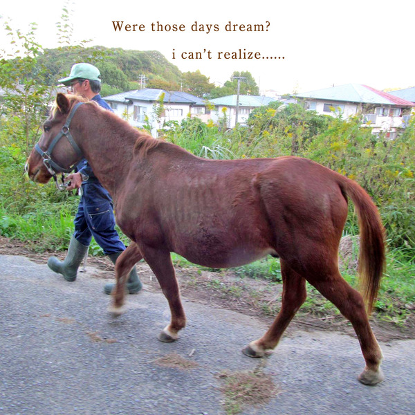 44953655_1909855705759100_2541686531089760256_o