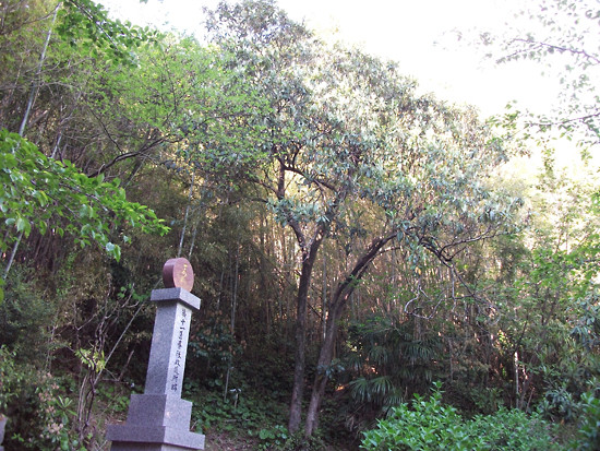 DSCF5825