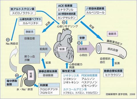 禁忌 薬 禁忌 薬