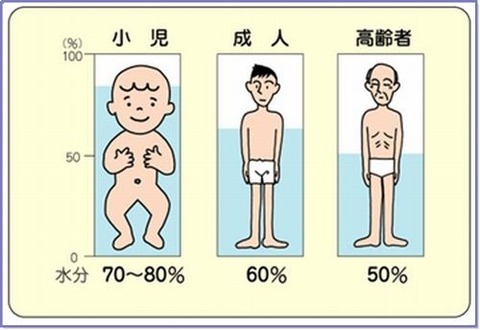 年齢体液%