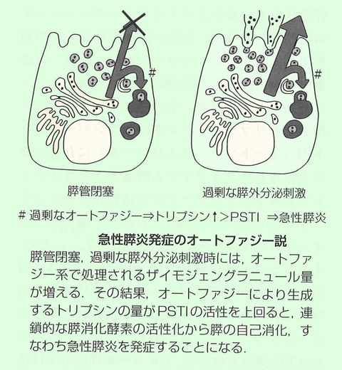 panc2