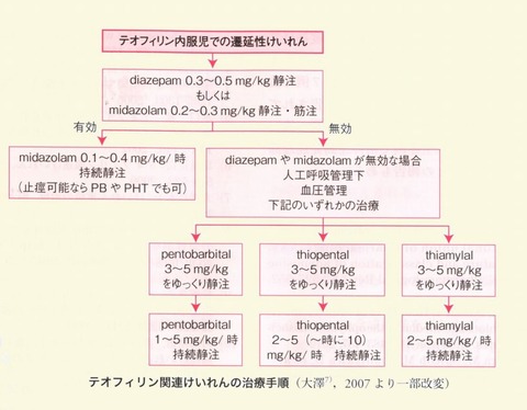 テオけいれん治療