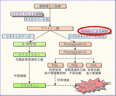 NSAIDS作用