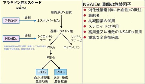 NSAIDS潰瘍危険因子