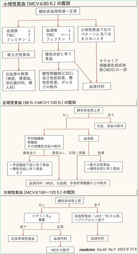 20230829110042_00001