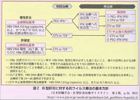 B型肝炎治療方針