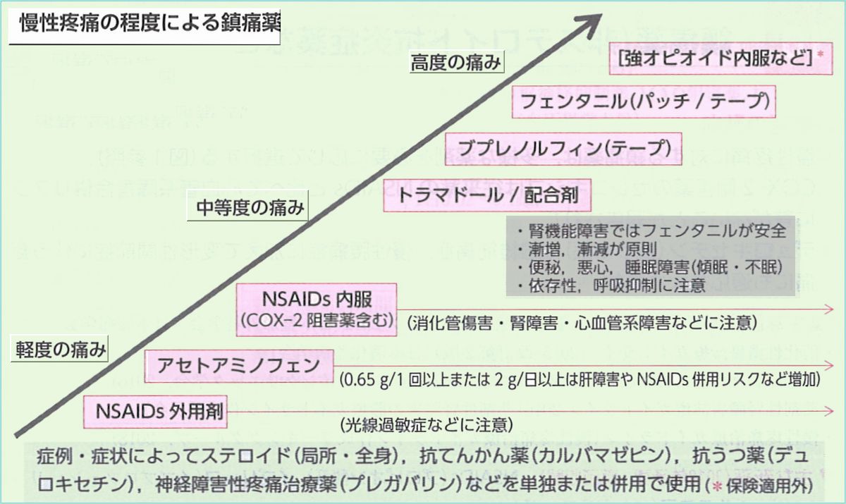 鎮痛 解熱薬 太田東こども おとな診療所使用薬品解説