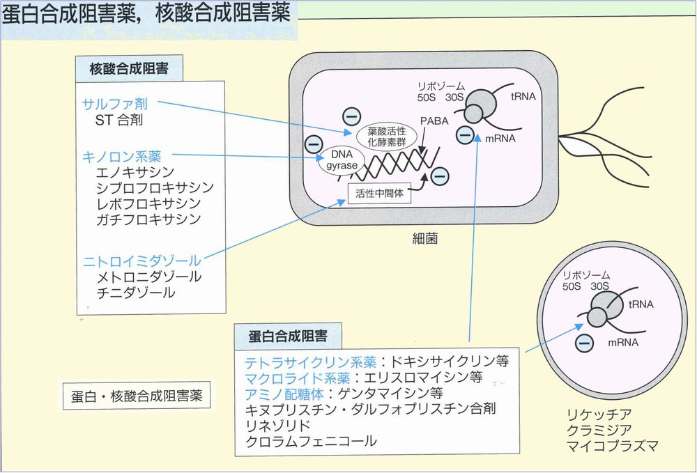 こどものくすり