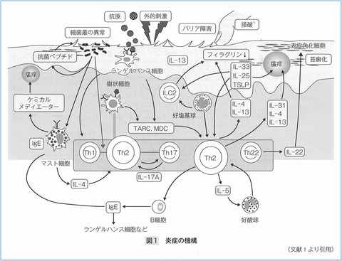 炎症機序