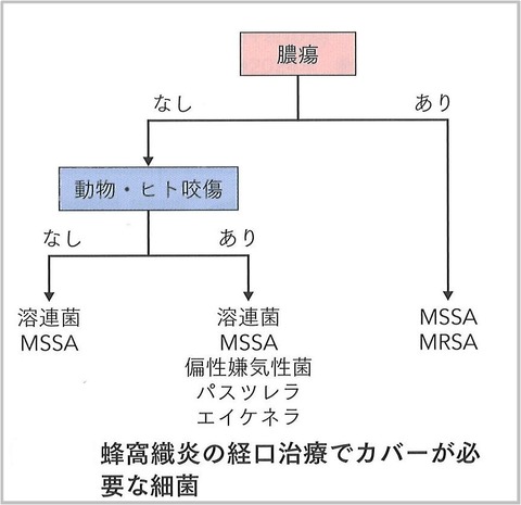 蜂窩織炎