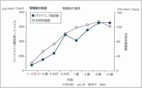 腎機能発達